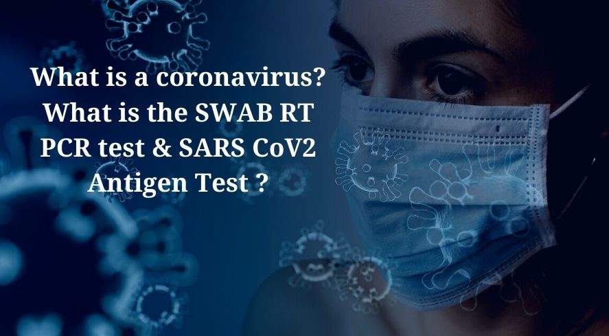 What is a coronavirus_ What is the SWAB RT PCR test & SARS CoV2 Antigen Test _