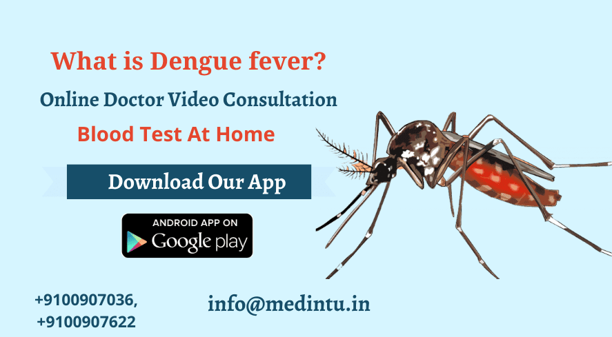 what is dengue fever?