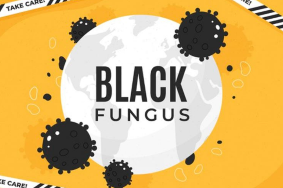 Black fungus