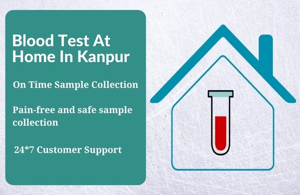 Blood Test At Home In Kanpur