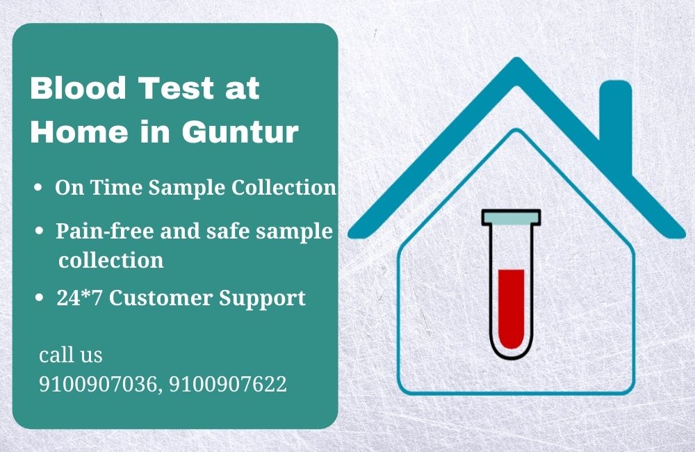 Blood test at home in Kadapa