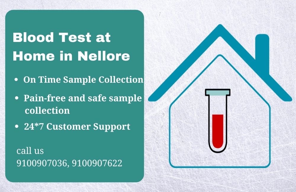 Blood Test at home in Nellore