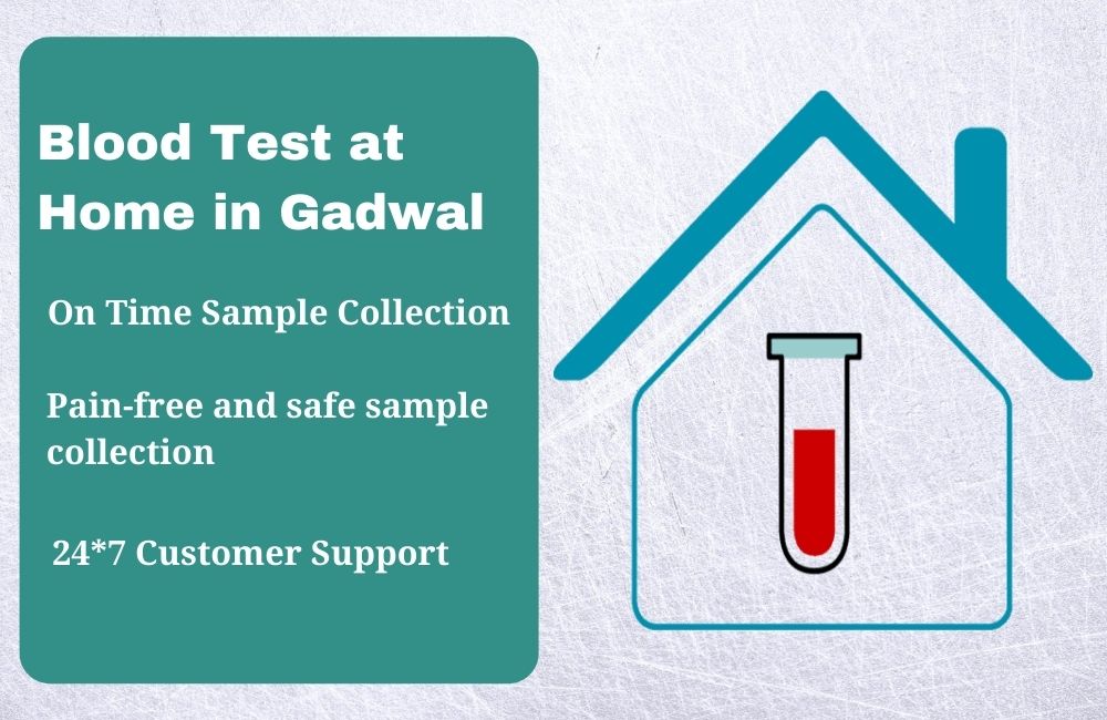 Blood Test at home in Gadwal