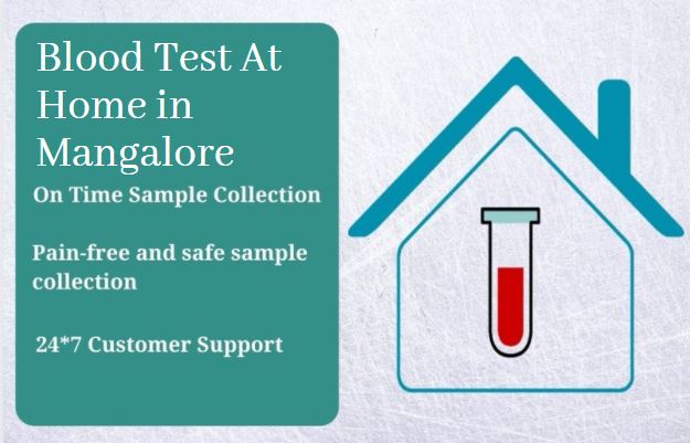 Blood Test At Home In Mangalore | Home Sample Collection | Medintu