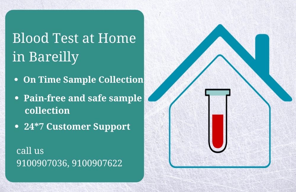 Blood Test At Home in Bareilly