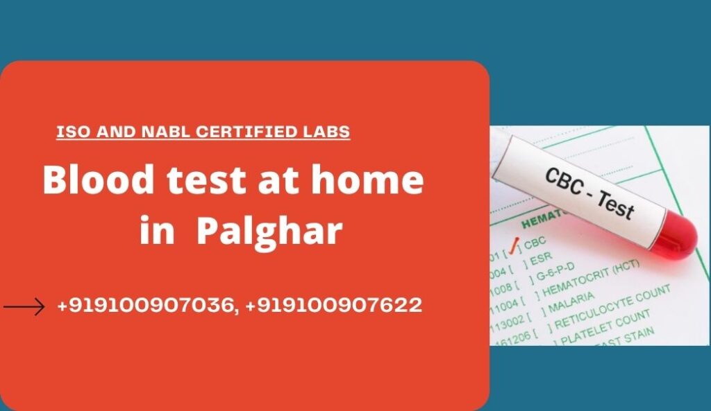 Blood Test At Home In Palghar