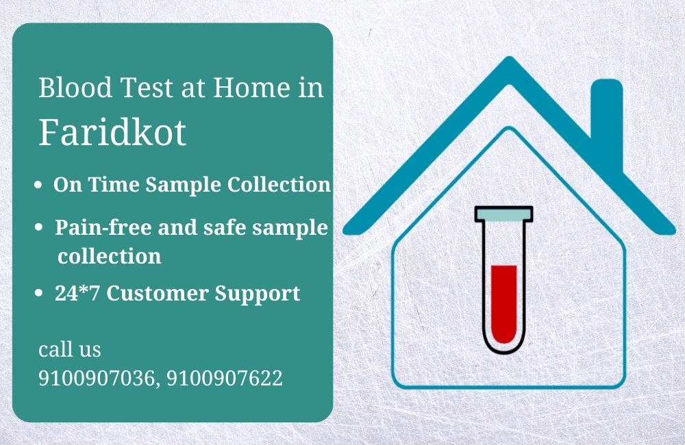 Blood test at home in Faridkot