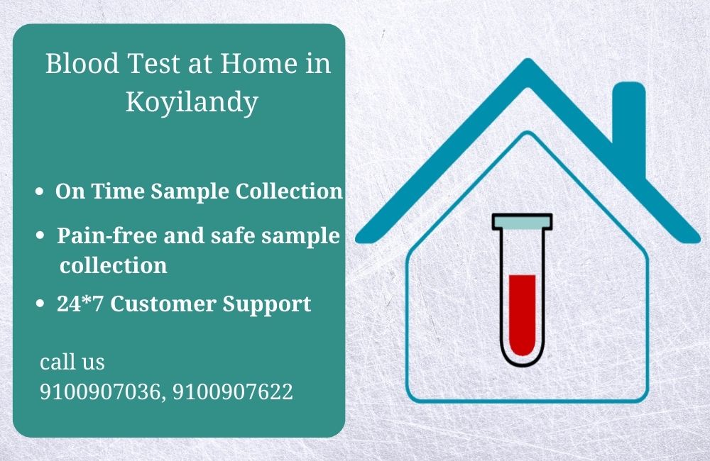 Blood test at home in Koyilandy