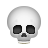 CT Scan skull