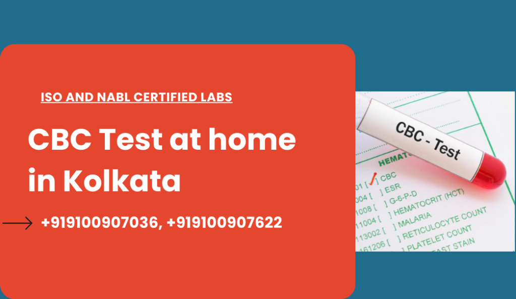 CBC Test Price in Kolkata