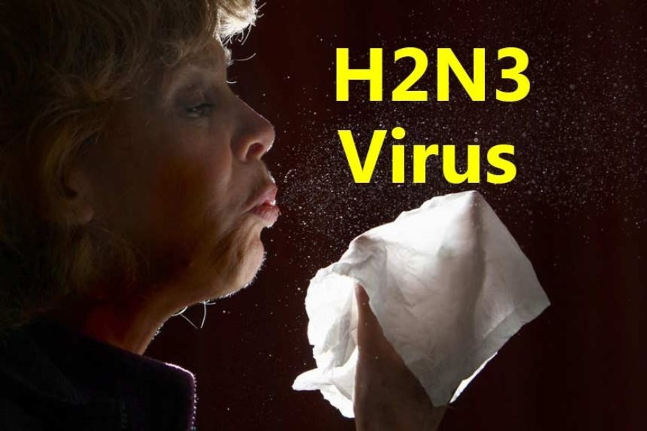 H2N3 Virus