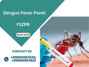 Dengue Fever Panel in Hyderabad