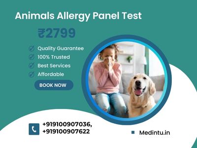 Animals Allergy Panel Test