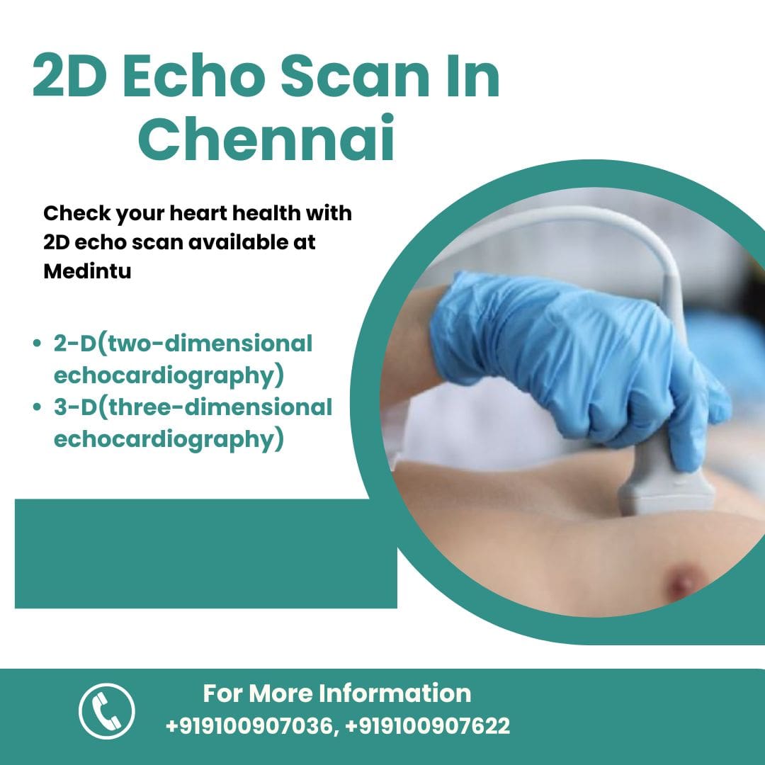2D Echo Scan In Chennai