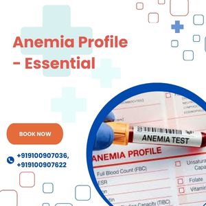 Anemia Profile- Essential Test