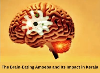 Naegleria Fowleri: The Brain-Eating Amoeba in India | Medintu