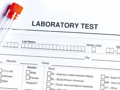 lab test report